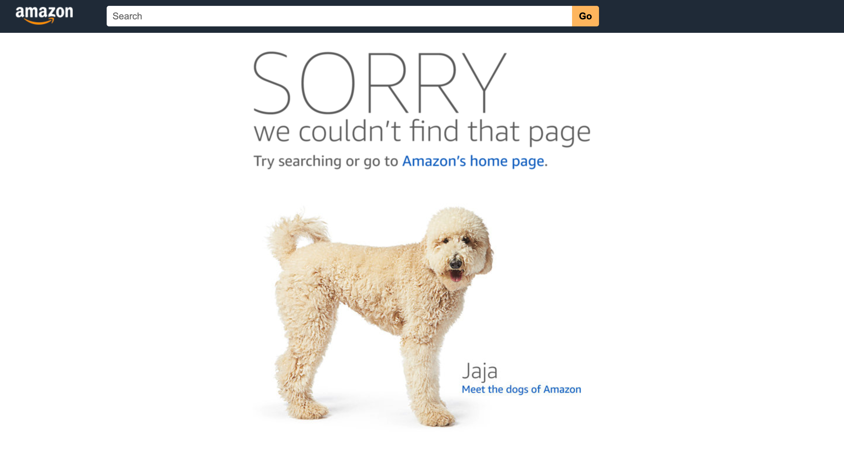 amazon404